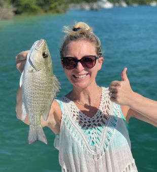 Gray Snapper from Caloosahatchee River, FL